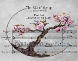 Picture:; Sakura Cherry Blossom with sheet music imposed over image