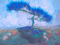 Digitally manipulated photo of bonsai, with painterly effects in blue tones