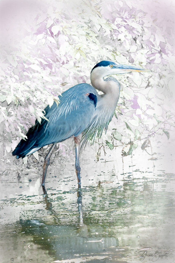 Portrait of a Great Blue Heron on a river bank. Background is stylized with pastel hues to complement the main subject