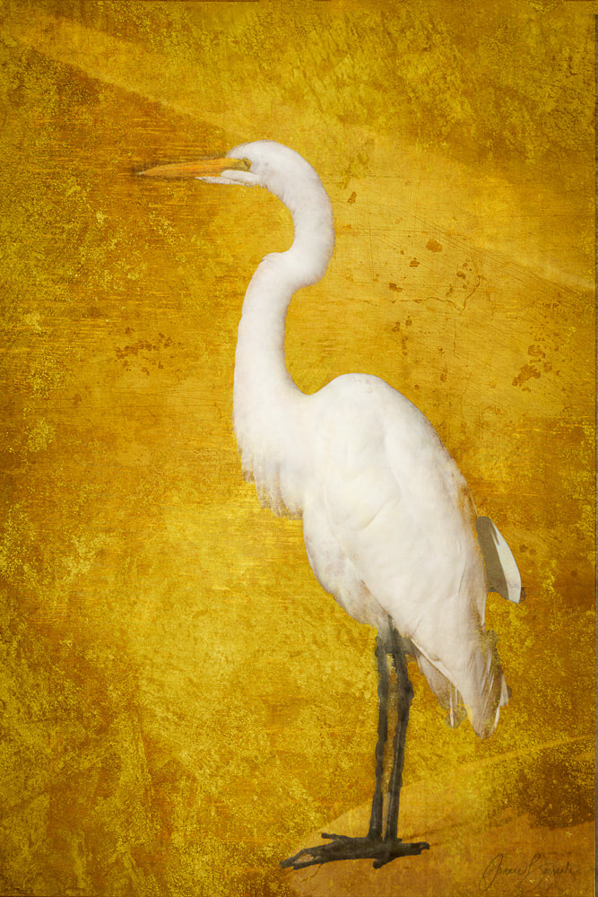 Portrait of a great white egret against a golden, textured background. A mate to the Golden Egret (Left)