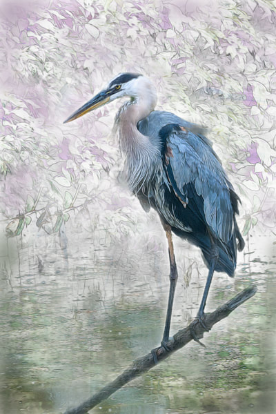 Stylized portrait of blue heron perched on log