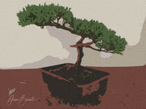 Digitally Manipulated image of a bonsai using Photoshop Craquelure Effect