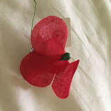 Picture of Red Poppy handed out on Memorial Day