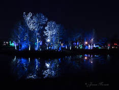 Picture: Reflections on Meadow Lake at Illumination